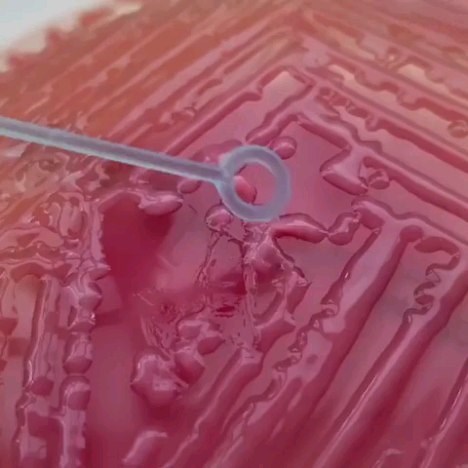 55K views · 175 reactions | Mucoid characteristics of Klebsiella. | Elmicrobiologist | Facebook