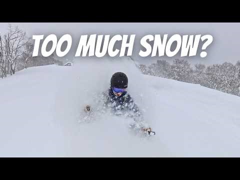Japan Got 1.5 Meters of Snow Overnight