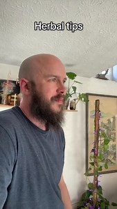 Herbal tea Bulk herbs all in once place. #modern_floki #herbal #herbaltea #herbalmedicine #herbalremedies | Modern Floki