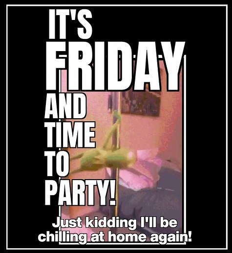 Happy Friday 🙂 #funnyvideos #humor #fridayhumor #kermitthefrog #friday | Funny thoughts and jokes.