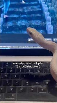 my snake tofu hates markiplier (I’m doubling down) #snake #reptiles #pets #animals #markiplier