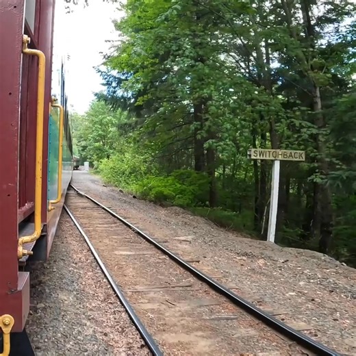 Experience unforgettable train journeys, railbike rides, e-bikes, and tours amidst a scenic valley in the Columbia River Gorge near the base of Mt. Hood in Oregon. 🚂🏔️ Are you ready for this amazing adventure? 😎 | Mount Hood Railroad