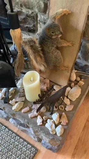 You can never have enough! This is some of my rock and arrowhead collection #goodvibes #rockhound # #hilla4u #geodes | Hilla4u