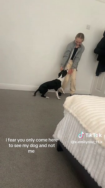 Understanding Dog Lover's Appeal Beyond the Owner