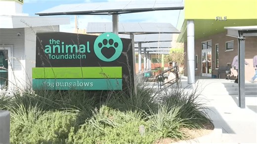 The Animal Foundation warns of scam targeting missing pets