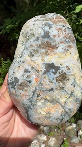 Who can tell me what this super rare Californian jasper is called? This material is widely regarded to be nearly extinct, as the deposit is not accessible unless one is willing to scramble to a remote area of rugged coastline during extreme negative tides in the wintertime. First to guess correctly wins* a small flat rate box of it 💌 The winner will also be allowed to determine the size of the pieces that fill out the box (a couple bigger flatter pieces, or several tumbler sized pieces). Note* 