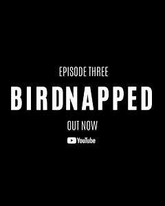 22 reactions · 11 comments | The story of the January ‘04 Big Red bird napping is out now. Catch the full episode on YouTube: bit.ly/BirdNapped | Arizona Cardinals | Facebook