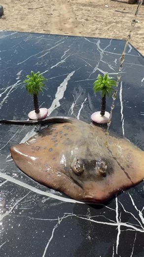 Amazing Monkfish Pool Tricks You Can't Miss!