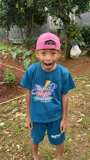 A cat as big as a grandmother #comedy #funny #shortvideo