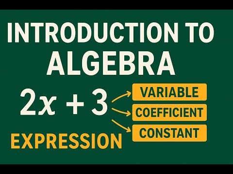 “Introduction to Algebra Variables, Coefficients, Constants & Expressions Explained”