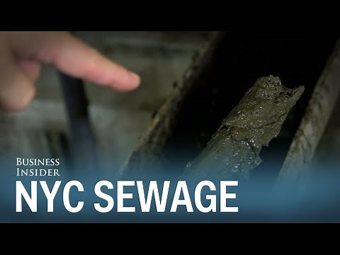 Here's where New York City's sewage really goes