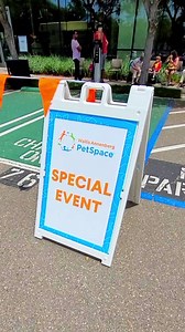 Meow! Feline Frenzy is happening now at Wallis Annenberg PetSpace. | The Annenberg Foundation