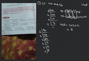 Find the HCF of the following pairs... | Filo