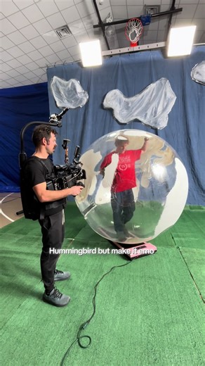 Hummingbird but make it emo #birds #birdsarentreal #turnstile #emo #hamster