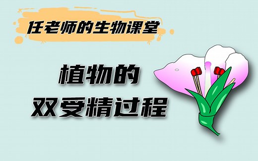 【高中生物】植物的双受精过程