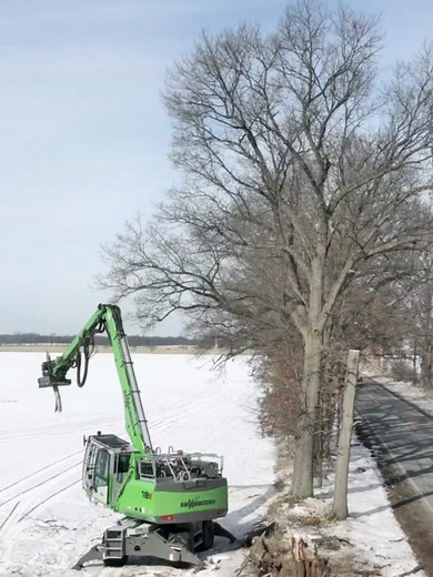 Ten Minutes with the Bogen: Tree Removal Heavy Equipment