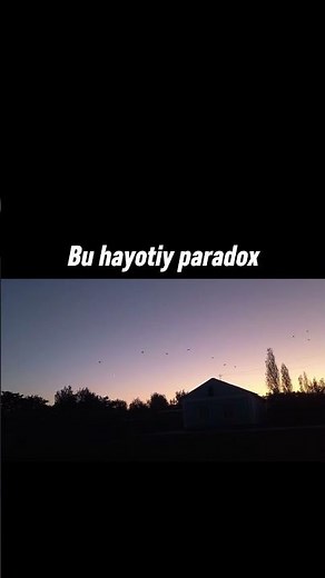 M1noR ft Asl wayne capital #l1ghtdream #rap #uzrap