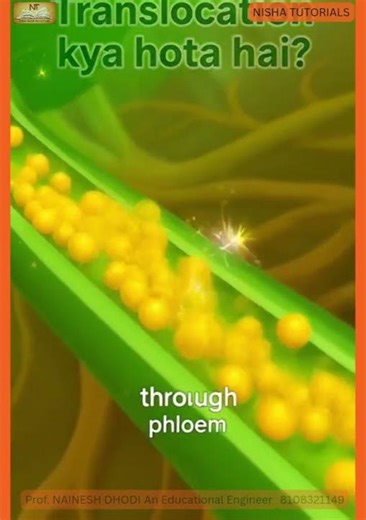 Translocation kya hai? 🧬 | Protein Synthesis Step Explained 😱