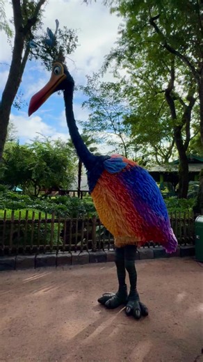 4.1K views · 142 reactions | Kevin from Pixar’s ‘Up’ shows off her ‘roaring like a lion’ skills at Disney’s Animal Kingdom today.   #pixarup #disneysanimalkingdom #animalkingdom #dak #wdw #waltdisneyworld #disneycharacters #pixar #pixarcharacters | Mousesteps | Facebook