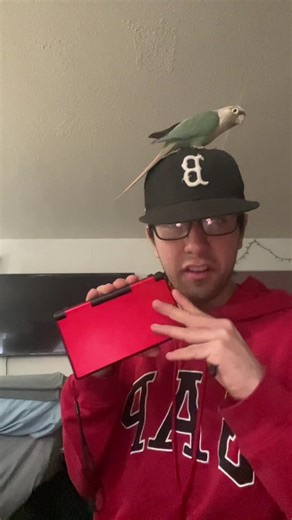 themastermindplug (@themastermindplug)’s videos with original sound - themastermindplug