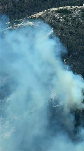 The South Carolina Forestry Commission on Reels