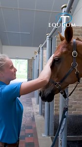 41-🔦La thérapie par ondes de choc est utilisée chez Equitom dans le cadre du traitement des chevaux blessés ou en rééducation. ✔️Elle peut participer au trai | Equitom