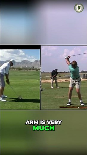 Ernie Els Swing vs. Your Slice #golf #golfswing #golftips