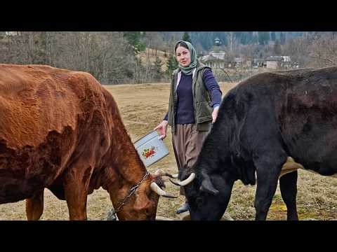 A Woman's Life in TOTAL ISOLATION AND HOMEMADE PASTA