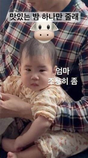 8개월 집중력 비결 #성대모사 #프뢰벨 #영아다중