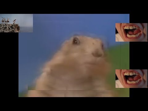 poppin (fixed audio)