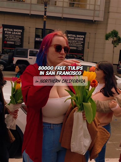 ✨️ March 21, 2026 🌷 Union Square Tulip Day turned the heart of San Francisco into a colorful sea of 80,000 blooming tulips. For one day, Union Square became a giant spring garden where people could walk among the flowers and pick their own bouquet. #unionsquare #sanfrancisco #tulip #tulipday #california