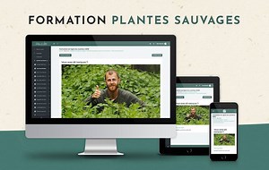 353K views · 257 reactions | Découvrez ou re-découvrez la formation du Cueilleur  Des heures de formation et des tonnes d'usages pour toutes les plantes qui vous entourent  Et pour une durée limitée, la formation est à -25%  Profitez-en !  https://www.lechemindelanature.com/formation-en-ligne | Le Chemin de la Nature | Facebook