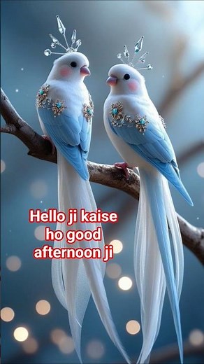 GOOD AFTERNOON video