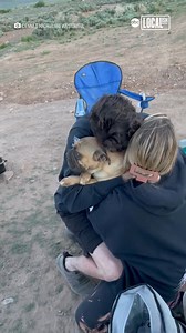 This couple had the sweetest reunion with their dog, Clutch, after he went missing for four days 🥺👏 | Localish