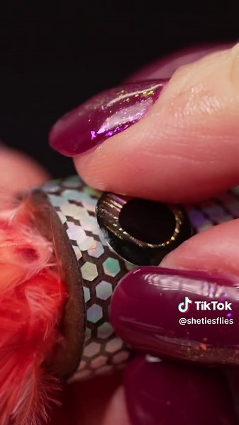 She Ties Flies on TikTok