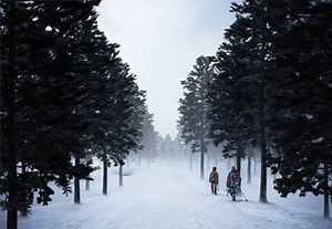 How to Create Pine Tree Brushes for Photoshop | Envato Tuts