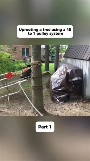remaxcablecharging on Instagram: "How to Remove a Stump Using a Hand Winch#stump #removal #landscaping"