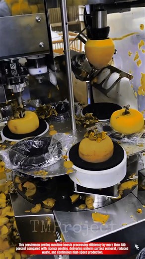 Innovative Persimmon Peeling Machine System: Best High-Speed Surface Shaving Action