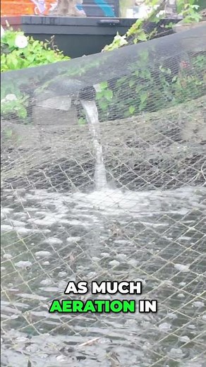 Pond Oxygen Secrets: Why Aeration & Circulation Are Vital!