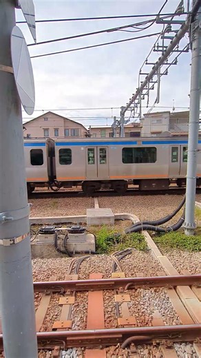 相鉄21000系21105編成各停西高島平行きと相鉄11000系11005編成特急横浜行きと埼京線E233系7000番台ハエ114編成各停海老名行き