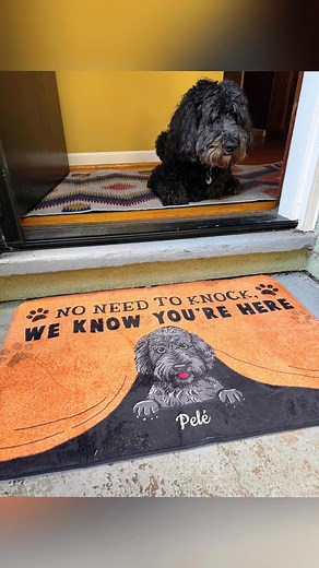 Paws for an entrance! 🐾 This personalized dog doormat welcomes your furry friend in style. No knocking required for this cutie! 👉 febworld.com/X0602-2 #DogDoormat #PetLover #PersonalizedGift #FunnyDoormat #DogMomLife | Febworld
