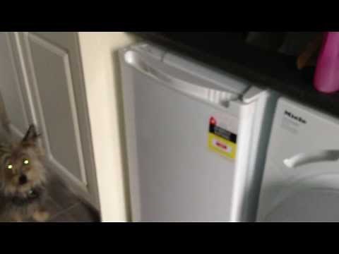 How to Mature Your Cheese - Cheese Fridge