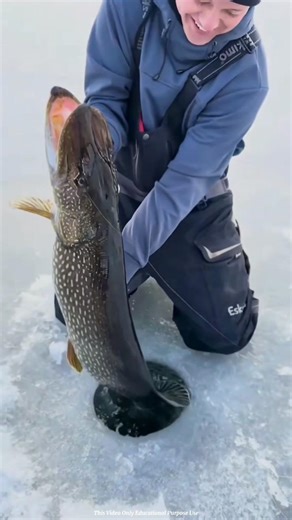 The Fish Whisperer: Calling Them Through the Ice! #facts #ytshorts #trending