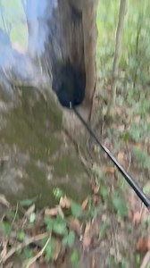 2.3M views · 9.3K reactions | That was scary | Jason the Great | Facebook