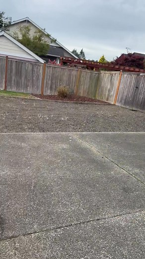 13 reactions · 4 comments |  Fall Cleanup Time is Here in the...