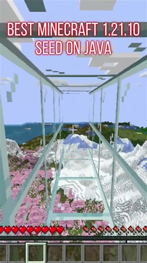 Best Minecraft Seeds 1.21.10 #minecraft #trending #seeds