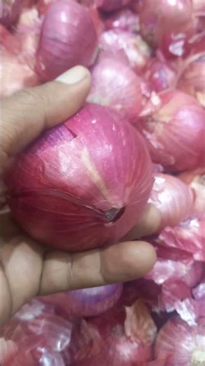 வெங்காயம்| onion #vegetables #onion #rajarani007