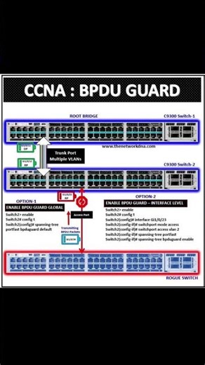 BPDU Guard Learn 30sec_ Networking switching