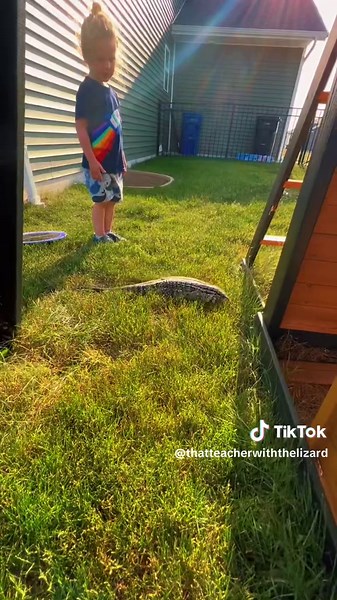 Uncle Monty the Tegu: A Fast and Fascinating Reptile on TikTok