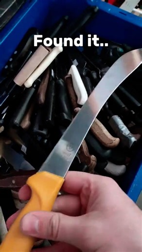 Found a Swiss Made Butchers Knife for $1!